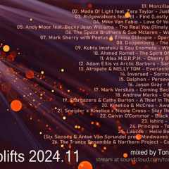 Uplifts 2024.11