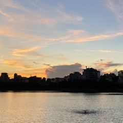 Truy Lùng - Nam Lee