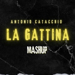 LA GATTINA X Y QUE FUE ( Antonio Catacchio Mashup )