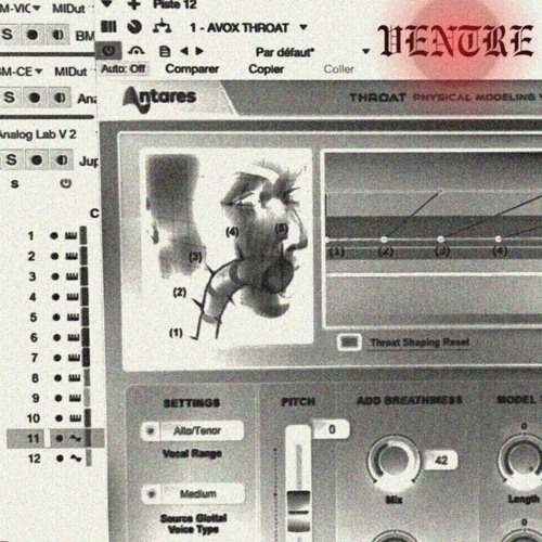 VENTRE - New Friends