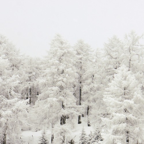 Snowflake