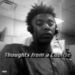 Thoughts from a Cubicle