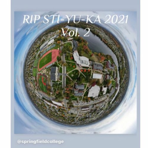 RIP STI-YU-KA VOL. 2