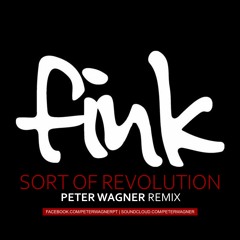 Fink - Sort of Revolution (Peter Wagner Remix)