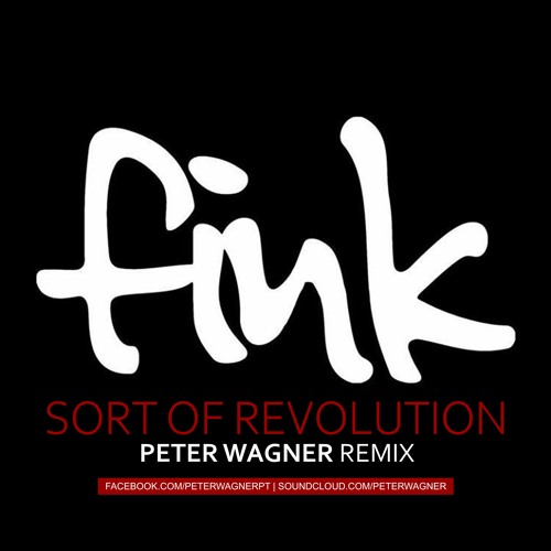 Fink - Sort of Revolution (Peter Wagner Remix)