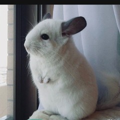 Noize MC - Гой еси