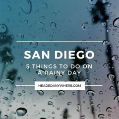 Best Things To Do In San Diego When It Rains Tours Reviews