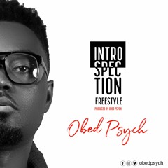 Introspection Freestyle