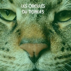"Les Oreilles du Tigre#3"