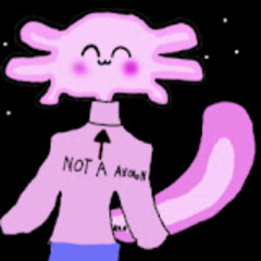 the anarchy