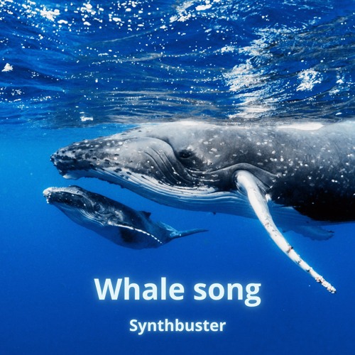 Whale song