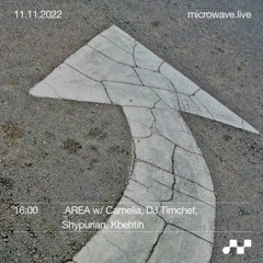 11.11.2022 .AREA w/ Shypurian