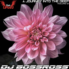 Journey into the Deep 13 - Best of Deep & Melodic House