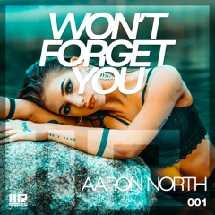 Aaron North - Won't Forget You (Radio Edit)