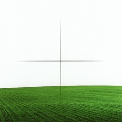 cannnot stray mod (wara)