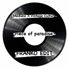 MEDUZA VS. VINTAGE CULTURE - PIECE OF PARADISE (FRANKO RE - EDIT) FILTERED **PRESS BUY 4 FREE DL**