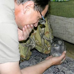 Lista sin títulosdff