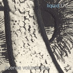 scenes volume one - Official Website Selection