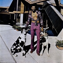 wilt chamberlain / uh huh *polarkidd + raf*