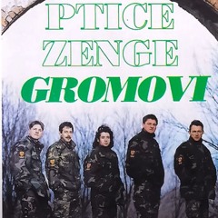 Ptice Zenge Gromovi - Duga pisma