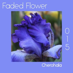 Faded Flower | 015