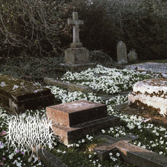 PEACEFUL (P. LASTRX)