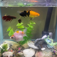 ns xq piensas q (prod. nel1kayo)