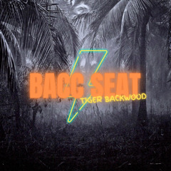 Bacc Seat