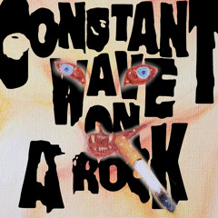 Constant Wave On A Rock