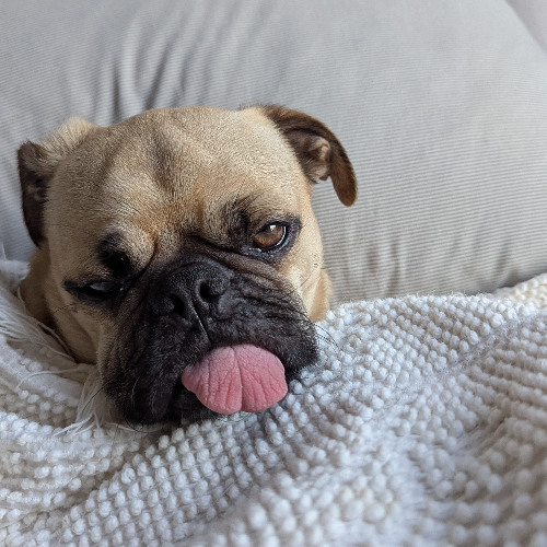 unsupervised on a saturday part 2