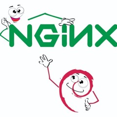Digital Doodads Dish It Out Nginx Debian