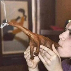 pohyi (слив)