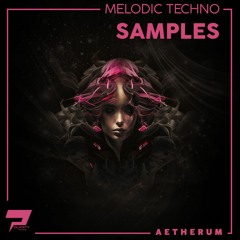 Polarity Studio - Aetherum: Melodic Techno Samples