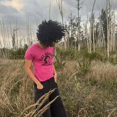 jaydes - sedated rnb flip