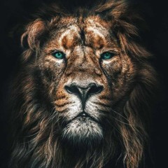 "La Suerte Del León" x Shqlee  2020 Oficial