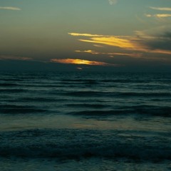 Kojaei (Erfan Tahmasebi)