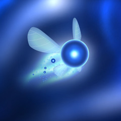 navi