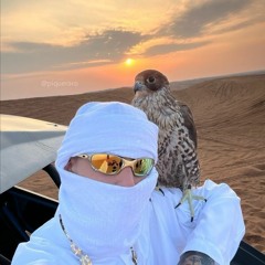 MC Paiva - Lamborghini Urus