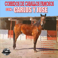 Corrido de la Chicharra