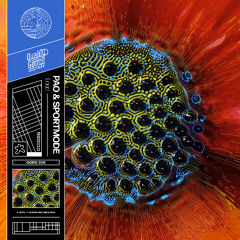 QGRS-050 | PAO x Sportmode - Loud