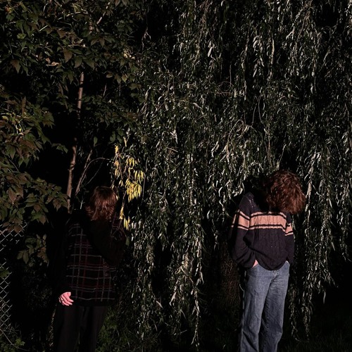 disaster [prod. fears]
