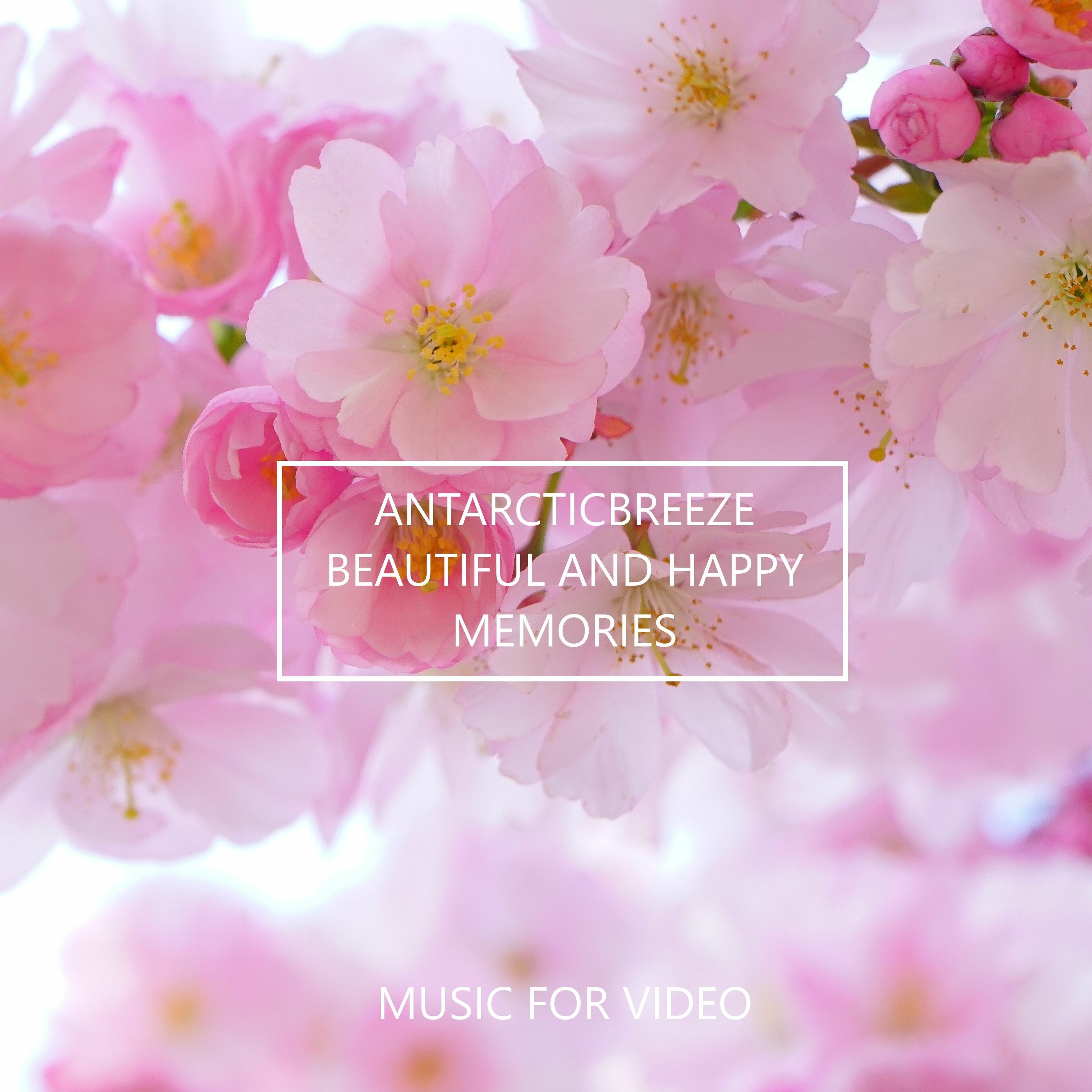 Royalty Free Music for Commercial