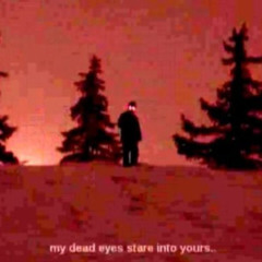 my death eyes stare into yours