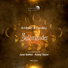 Premiere: Amháin, Covsky - Salamander - (Kasey Taylor Remix) [Musique de Lune]