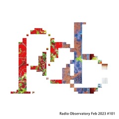 Radio Observatory #101 With pAradice Feb 2023