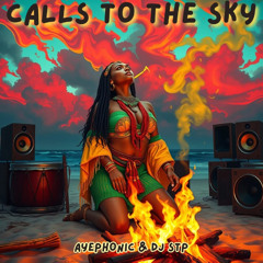 CALLS TO THE SKY (JUNGLE DUBBERZ MIX) - AYEPHONIC & DJ STP