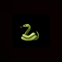 Year of the snake (demo).mp3
