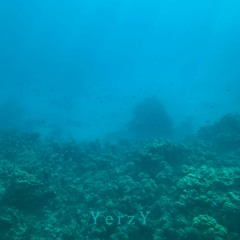 YerzY - In The Ocean