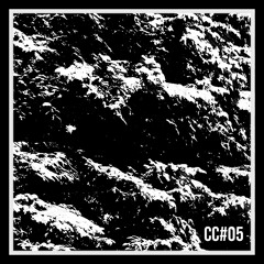 Premiere: Nice-D - I'm Just Fine [Cosmicadence]