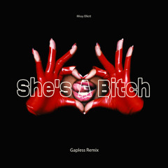Missy Elliott - She's A Bitch (Gapless Remix)